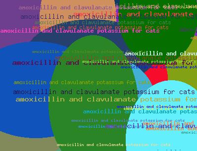 amoxicillin and clavulanate potassium for cats